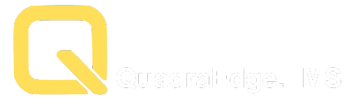 QuadraEdge.LMS logo
